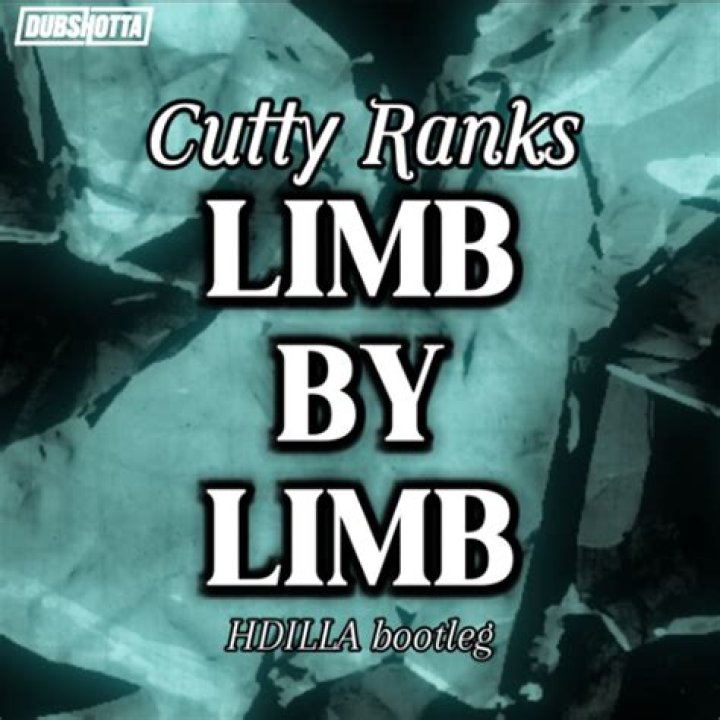 A Comprehensive Guide To The Meaning Behind "Limb By Limb" Lyrics